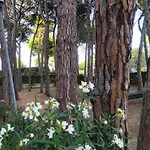 Con Amplia Terraza Y Vistas Al Mar A 150 Metros De La Playa Апартаменты *