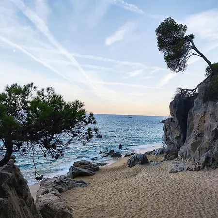 Апартаменты Con Amplia Terraza Y Vistas Al Mar A 150 Metros De La Playa Сан-Антонио-де-Калонже
