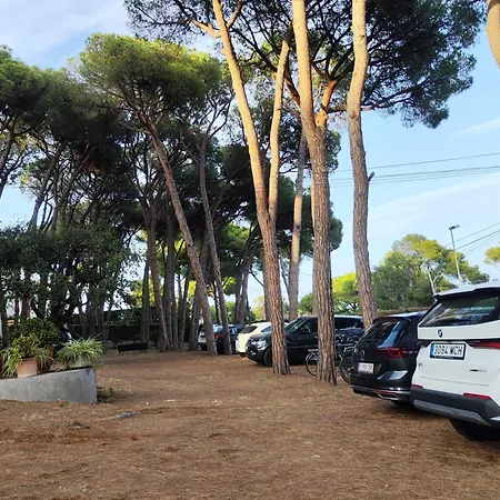 Апартаменты Con Amplia Terraza Y Vistas Al Mar A 150 Metros De La Playa