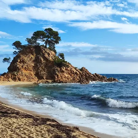 Con Amplia Terraza Y Vistas Al Mar A 150 Metros De La Playa Апартаменты